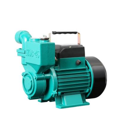 China Hot Selling 1 Inch 0.5hp Electric Automatic Pressure Switch Self Control Self Priming Irrigation And Agriculture Water Pumps for sale