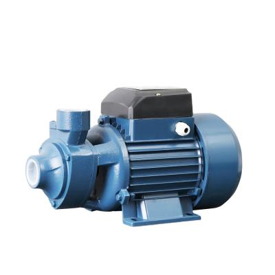 China Irrigation and Agriculture 1 Inch 220 Volt QB60 0.5 Rate Domestic Garden Water Pump Electric Motor 0.75hp 1hp for Home for sale