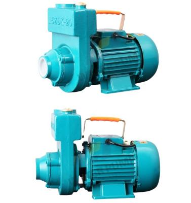 China Portable Types Home Garden Transfer Irrigation And Agriculture Water Supply Thailand Best Price Automatic Centrifugal Pumps for sale