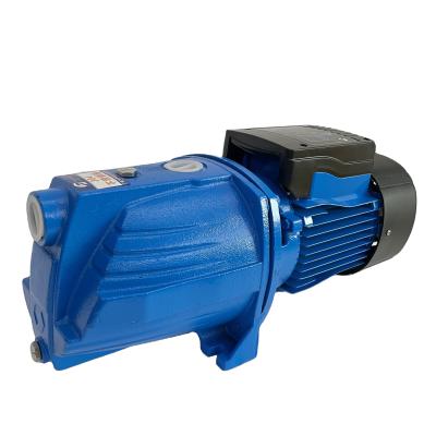 China 2021 Head 1.0hp 1.5hp SS Impeller Low Shaft Self Shaft Self Priming Heavy Water Jet Pump 2021 Pump Body for sale