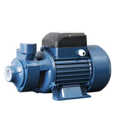 China Good quality china brand irrigation and agriculture china brand best pressure 0.75hp silent water pump mini for sale for sale