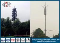 China Disguised Pine Tree Telecommunication Towers Inner Climbing Ladder for sale