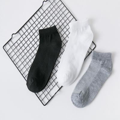 China Wholesale Breathable Sheer Breathable Girls Crew Color Factory Boy Sports Short Socks for sale