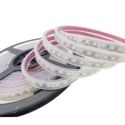 China Decorative Lighting Backlight 120leds With Tube Led Strip Waterproof Flexible Led Strip 12v for sale