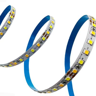 China Lighting 120leds Water Proof Dimmable 2835 Both Color Temperature Led Strip Light Warm White for sale