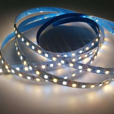 China Backlight 24v Two Color 216LED Dimmable Changing Strip Led 2835 Led Strip Linear Fixture for sale