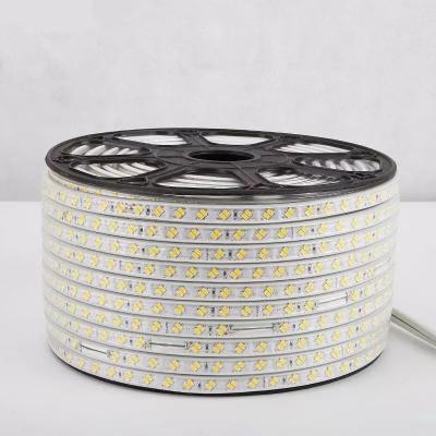 China LANDSCAPE factory direct sales led strip light 220v smd5730 180leds/m dual line copper for sale