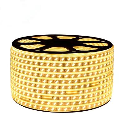 China LANDSCAPE Factory High Quality Waterproof IP65 AC 110V 220V SMD 5730 120leds/m Led Strip Lights for sale