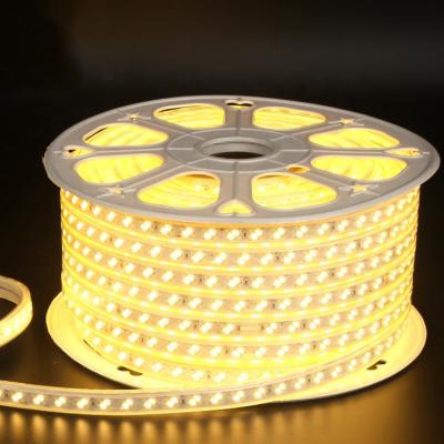 China LANDSCAPE IP67 Waterproof SMD5730 120LED/m RGB Strips 220V Double Array 5050 RGB LED Strips for sale