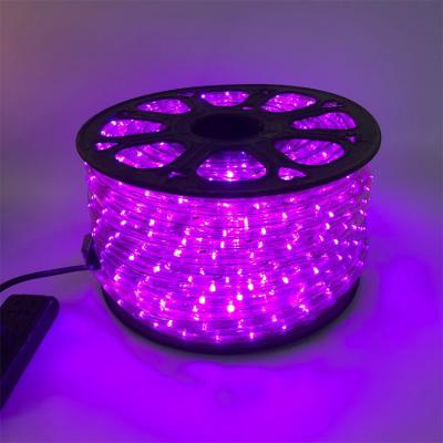 China LANDSCAPE 220V/110V/24V/12V/red/green/blue/white/yellow/pink/Purple/RGYB LED 2 Wire Round Rope Park Light for sale