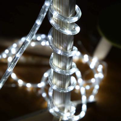 China LANDSCAPE hot sale new products waterproof led strip light for outdoor and indoor for sale