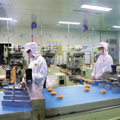 China Factory Clean Room Labels And Markers Food Grade Floor For Food Processing Equipments Cleanroom Ventilation Systems for sale