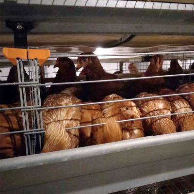 China Factory wholesale price farms for sale quality poultry farm equipment automatic chicken layer cage chicken layer cage for sale