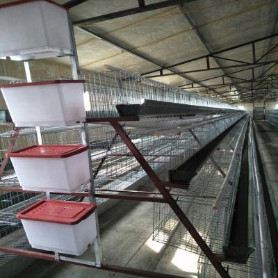 China Chinese Farms Factory Produces Automatic Battery Chicken Cages Chicken Cage for sale