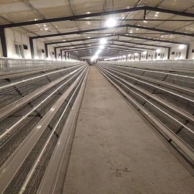 China Farms factory produces and sells battery chicken cages farm chicken cage for sale