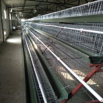 China Chinese farms factory produce and sell battery chicken cages for sale