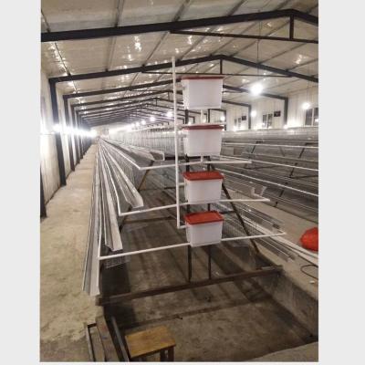 China Farms Battery Cage Battery Layer Cage for sale