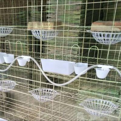 China Chinese Farms Factory Sells High Quality Galvanized Collapsible Pigeon Cage for sale