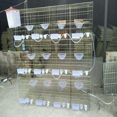 China Farms Farm Breeding Pigeon Cages , Pigeon Pairing Cages for sale