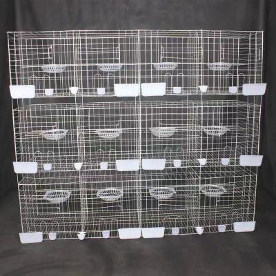 China Cultivate the large pigeon breeding cage for sale