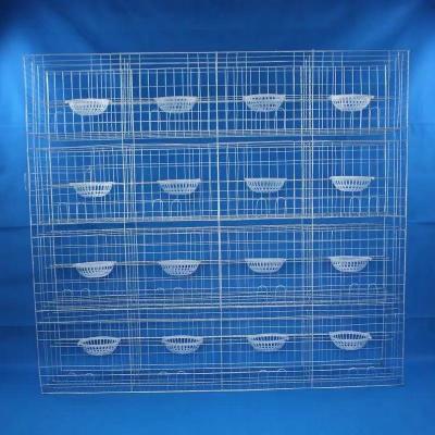 China Farms pigeon cages for poultry farms for sale