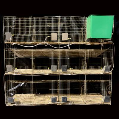 China Farms Chinese factory retail price for sale high quality galvanized 12 links rabbit cage for farms for sale