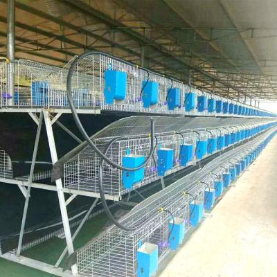 China Farms Factory Direct High Quality Special Galvanized Automatic Farm Rabbit Cage for sale