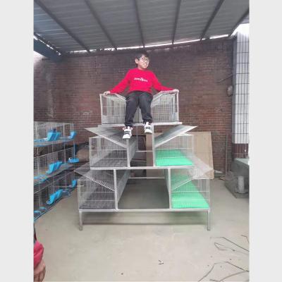 China Cheap farms and sturdy rabbit cage for sale