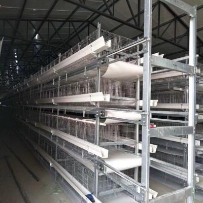 China Cultivate Automatic Chicken Cage Poultry Fertilizer Cleaning Equipment for sale