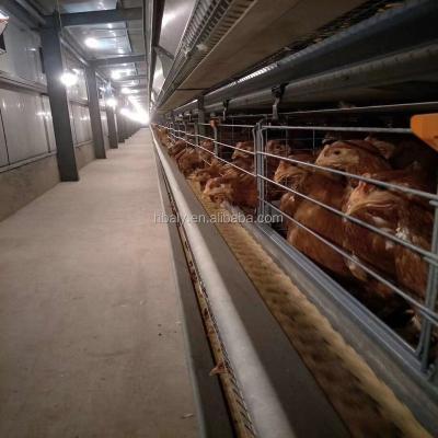 China Farms Factory Direct 3-4 Layers of Hen Poultry Egg Galvanized Battery Cage Galvanized Chicken Cage Egg Cage for sale