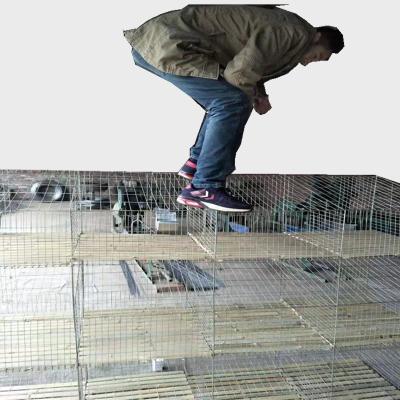 China Grows 3 layers, 4 columns, 12 mother and child rabbit cages for sale