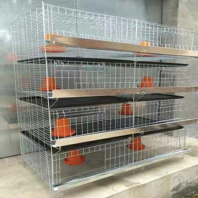 China Farms factory sells galvanized chick cages at low prices for sale