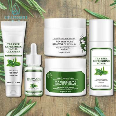 China Tea Tree ODM OEM Skin Care Set Hydrating Natural Acne Treatment ISO22716 FDA for sale