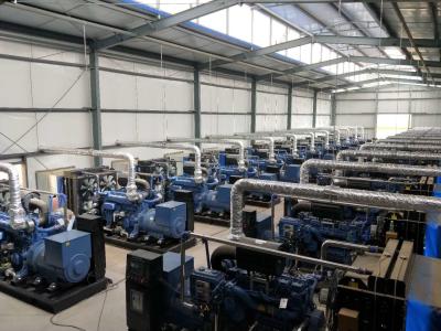 Cina Efficient Gas Generator Set 3-Phase Power Industrial Generator Set in vendita