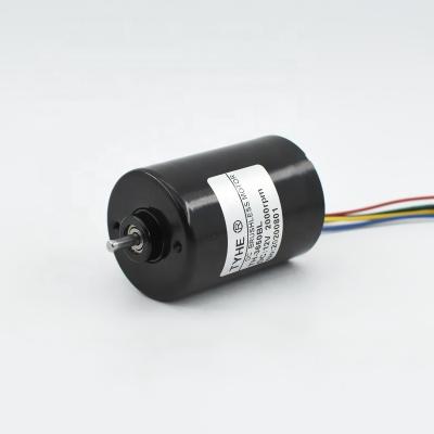 China Manufacturer TH3650BL 12v 24v 5000rpm 6000rpm 10000rpm 20w 15 watt 10kg totally enclosed micro pmdc bldc brushless dc motor for sale