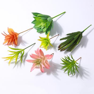 China Wholesale Various Simulation Succulent Plants Durable DIY Mini Fake Plants Plastic Artificial Plant For Home Decoration for sale