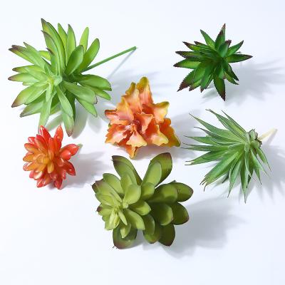 China Wholesale Durable Faux Indoor Decorative Succulents Mini Plastic Realistic Plants Flowers Home Artificial Succulents For Table Decor for sale