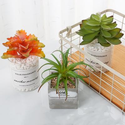 China Manufacturer Customized Durable High Quality Plastic Artificial Succulent Potted Plants Wholesale Home Indoor Decoration Set With Pots for sale