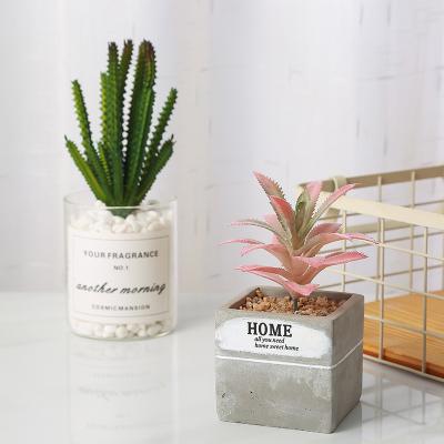 China Wholesale Diy Mini Fake Plastic Plant Artificial Succulent Plant Home Decoration Durable Indoor Home Potted Plants Set for sale