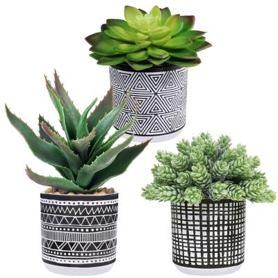 China Real Touch Mini Potted Plants High Quality Durable Artificial Succulent Plant Set For Office Kitchen Home Room Home Decoration for sale