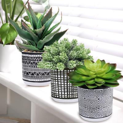 China Durable Custom Garden Faux Bonsai Plant Mini Succulent Potted Artificial Flowers Plant for Garden Decor for sale