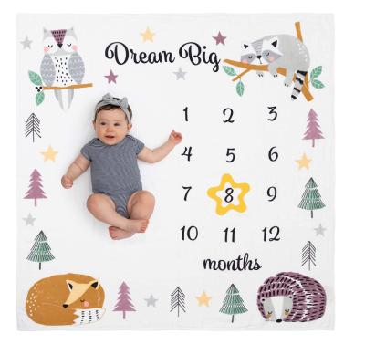 China PORTABLE Organic Monthly Milestone Blanket Neutral Dream Baby Months Large Picture Baby Boy Girl Blanket Milestones For Newborn for sale