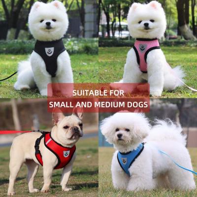 China Luxury High End Padded Pet Head Car Dog Accessories Buckle Closure Collar Customer Logo And Nylon Leash Dog Training for sale