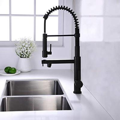 China Thermostatic Faucets Kitchen FaucetSpring Arc Kitchen Faucet With SprayerBass Pull Down Black And Gold Kitchen Faucet for sale