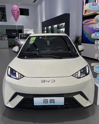 China Erwachsene Elektroauto Byd Möwe 2025 405 Fliegende Version von Kleinfamilienauto Neues Energiefahrzeug zu verkaufen