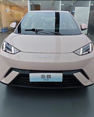 中国 大人用電動車 バイド シガイ 2025 405 小型家族用車の飛行版 新エネルギー車 販売のため