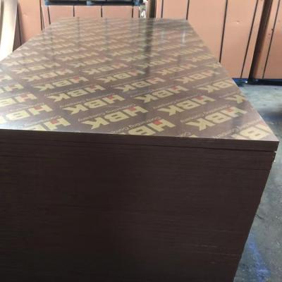 China Traditional cheap price M.P E1 1220*2440mm 12mm 15mm high quality black 18mm eucalyptus film faced plywood for formwork for sale