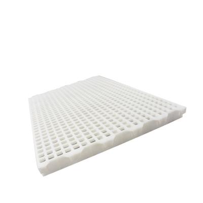 China Poultry Farm Chicken Feeding New Design Farm Equipment White Chicken Poultry PP Plastic Slat Flooring for sale