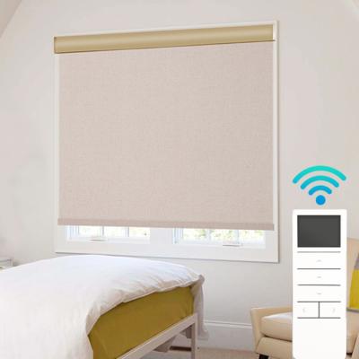 China Blackout Window Blinds Minimalist Indoor Electric Remote Control Automatic Motorized Roller Blinds For Home for sale