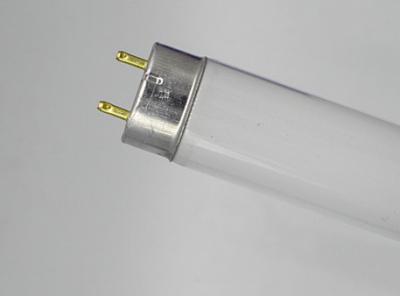 China Tri-phosphor withe 6500K lamp daylight lamp tube t8 20W40W for sale